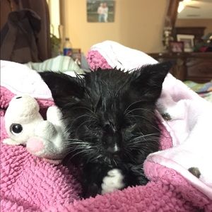 Meet your Posher, Brandi